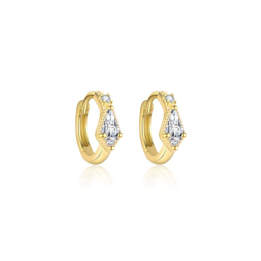 925 Silver Gold Plating Zircon Minimalist Earrings 1.44g