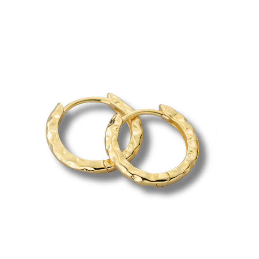 ESSENTIAL Gold Plating 925 Silver Texture Earrings 1.80g 