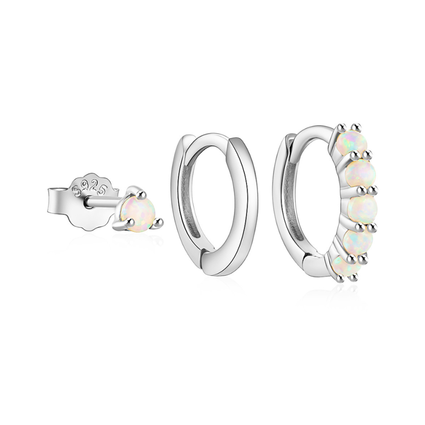 925 Silver New Zircon Sets Earrings 1.4g