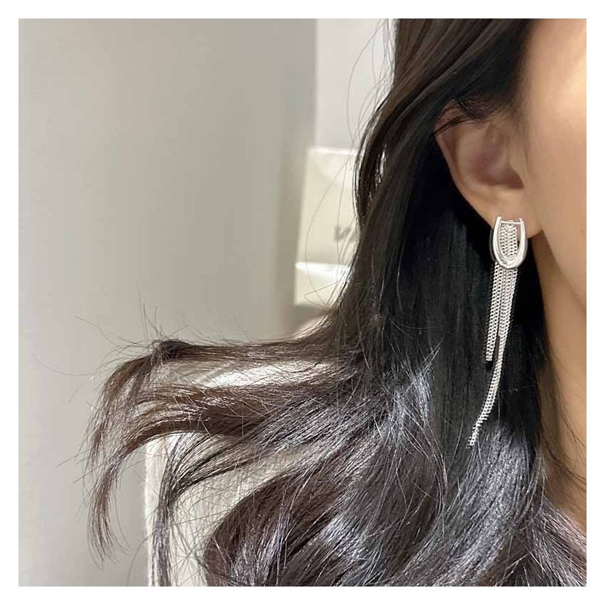 925 Silver Platinum Plating Long Earrings